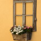 Alter Fensterrahmen mit Blumenkiste