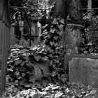 Alter Friedhof 01