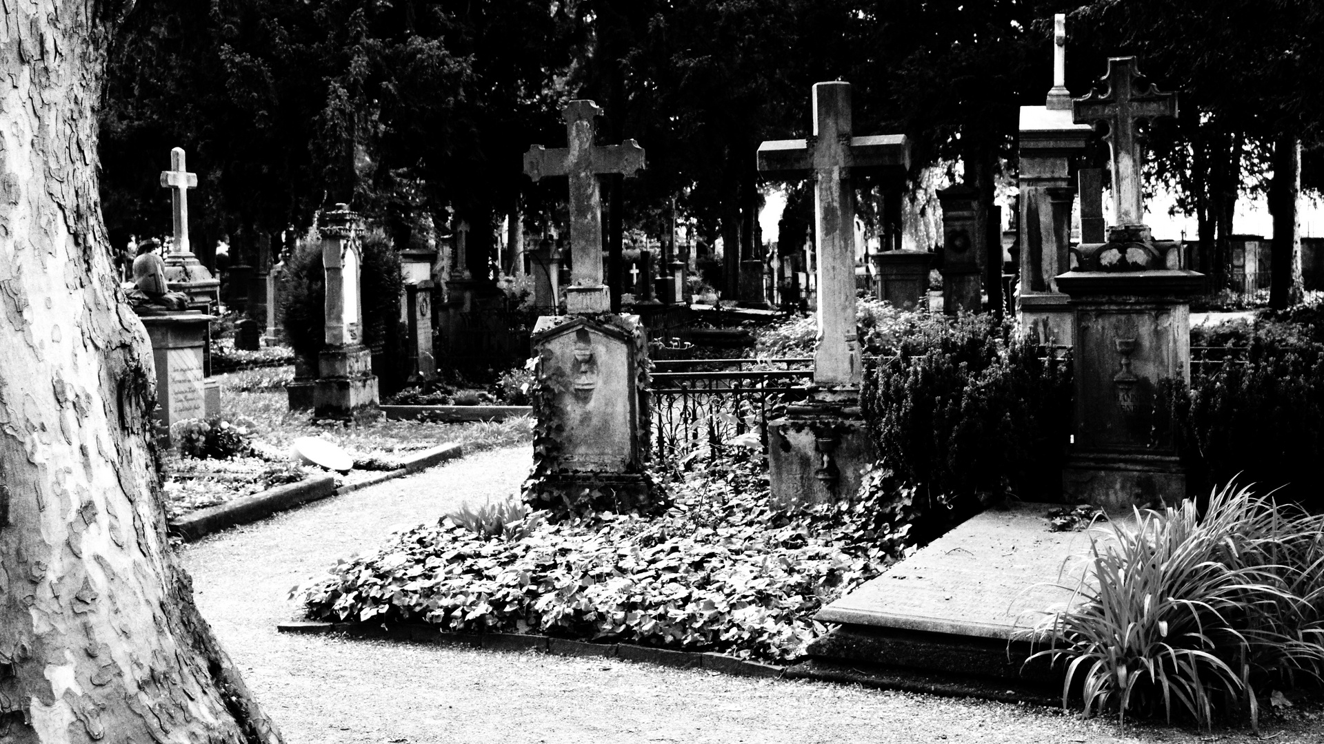 Alter Friedhof 02