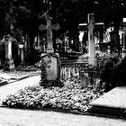 Alter Friedhof 02