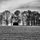 Alter Friedhof