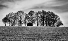 Alter Friedhof