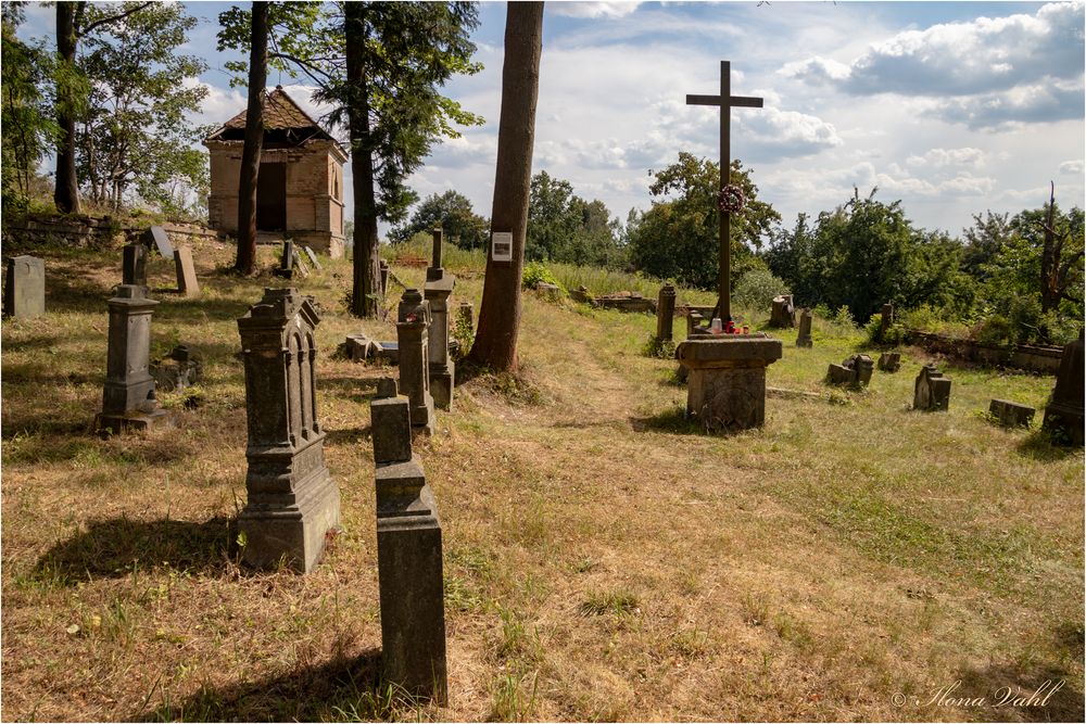 Alter Friedhof (03)