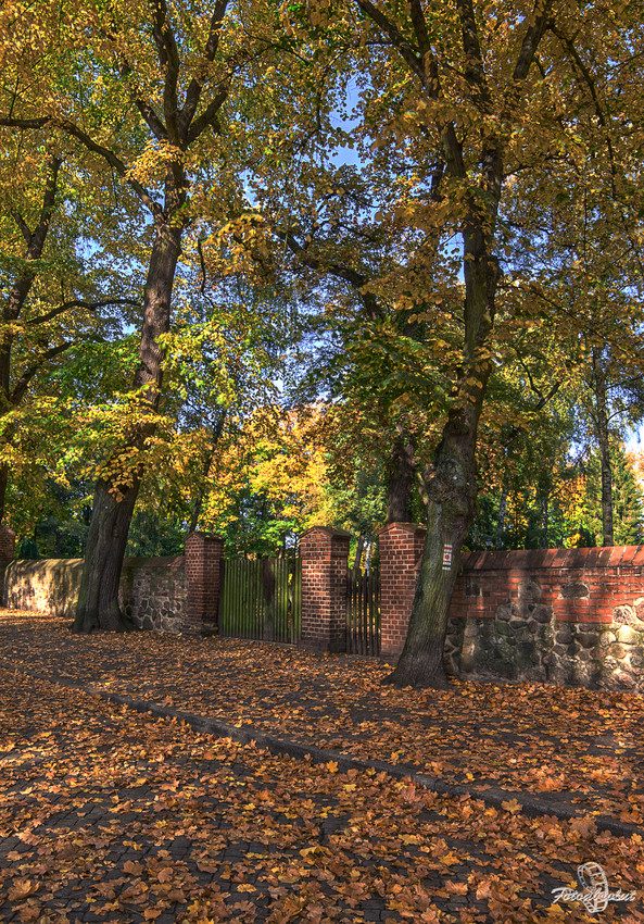 Alter Friedhof