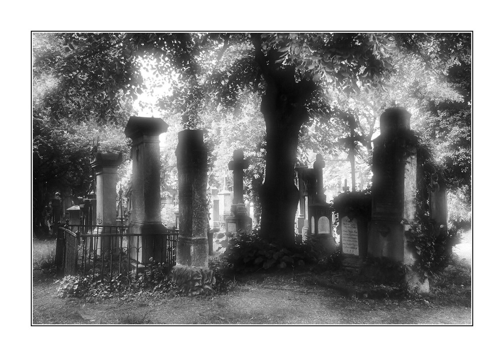alter Friedhof...