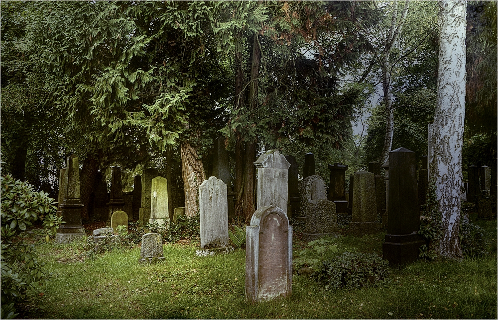 ~Alter Friedhof~