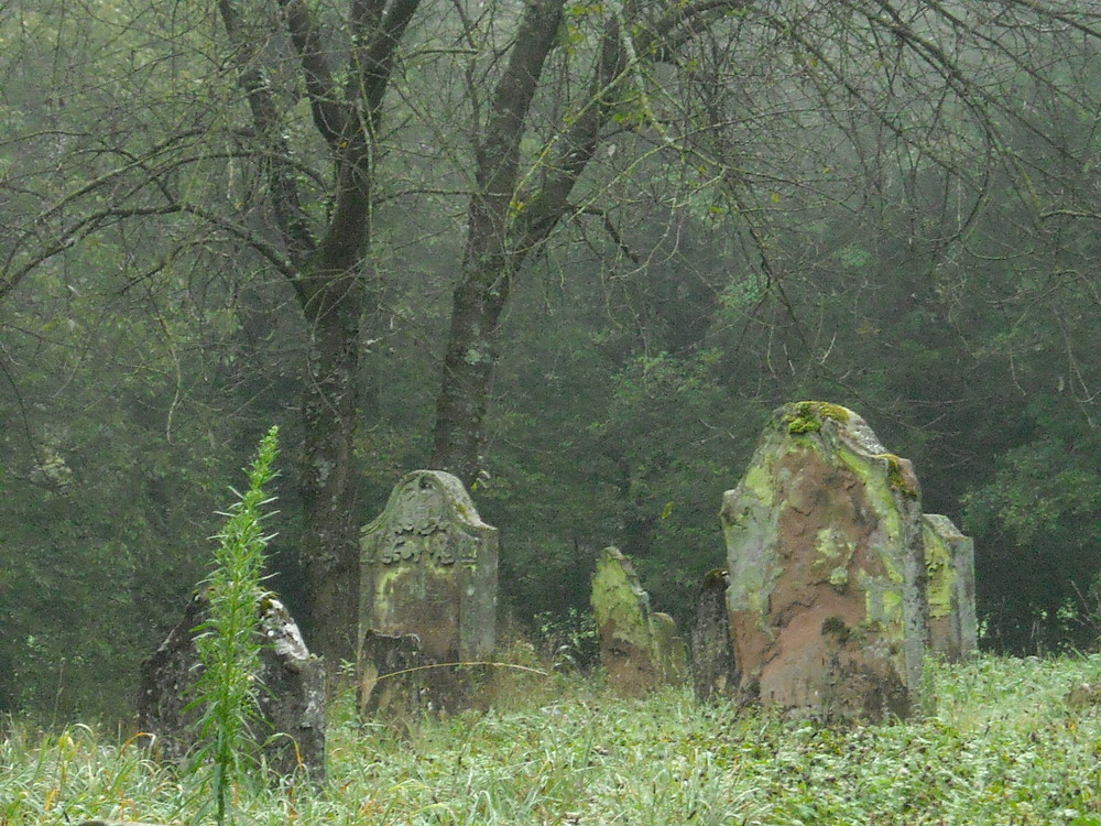 Alter Friedhof