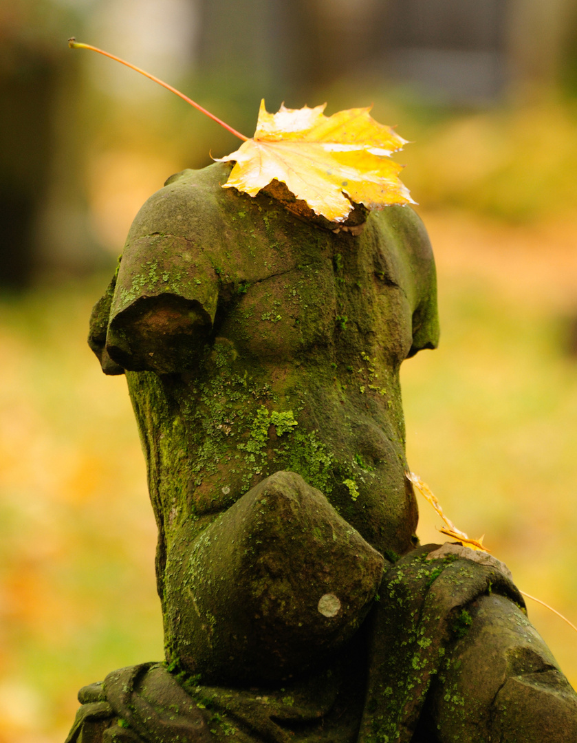 alter friedhof