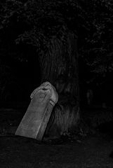 Alter Friedhof am Bürgerpark Pankow