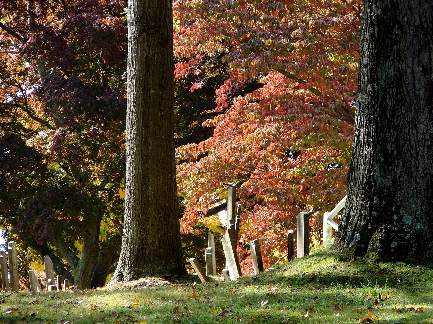 Alter Friedhof am Hudson River