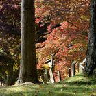 Alter Friedhof am Hudson River