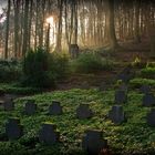 Alter Friedhof am Maria Laacher See