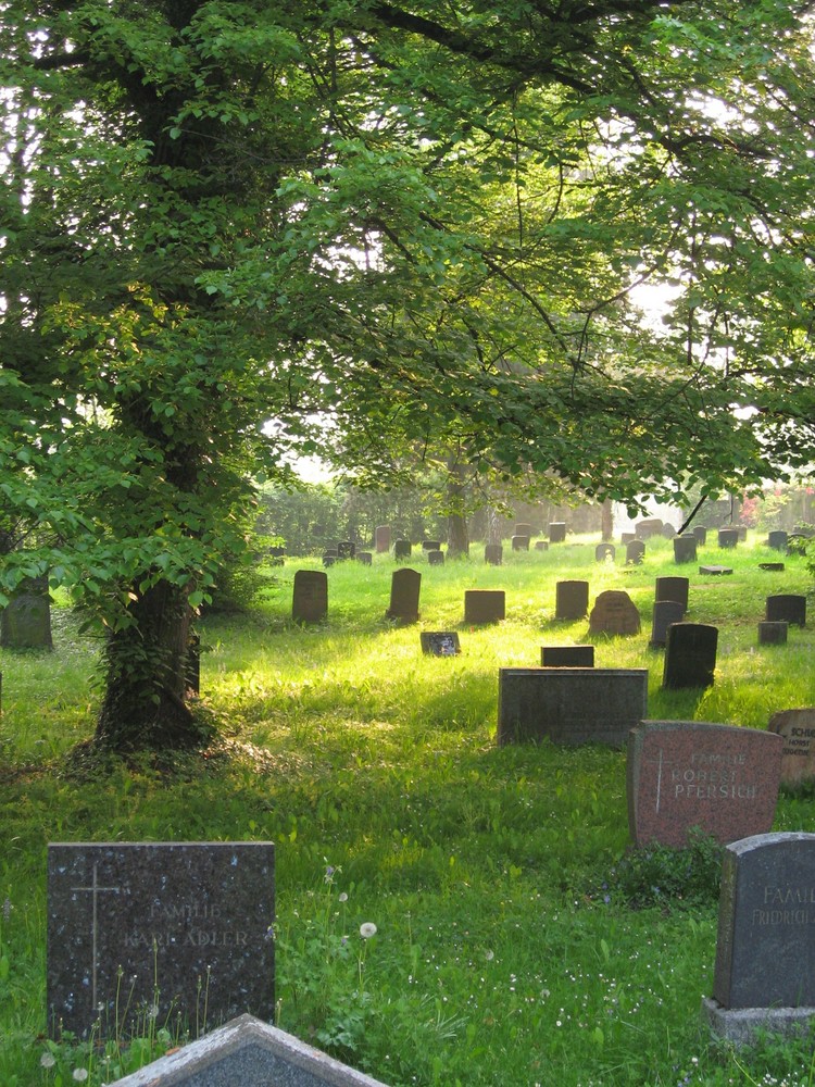 Alter Friedhof am Morgen