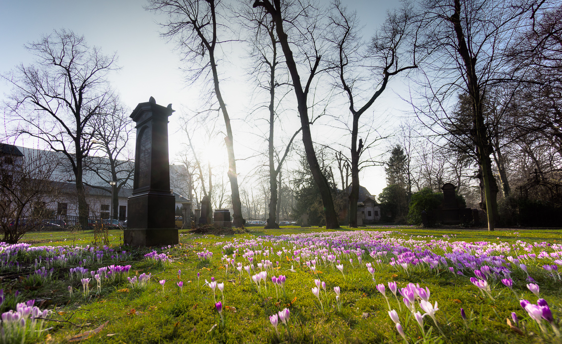 Alter Friedhof an der Kreuzstraße