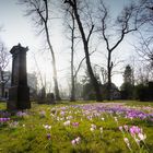 Alter Friedhof an der Kreuzstraße