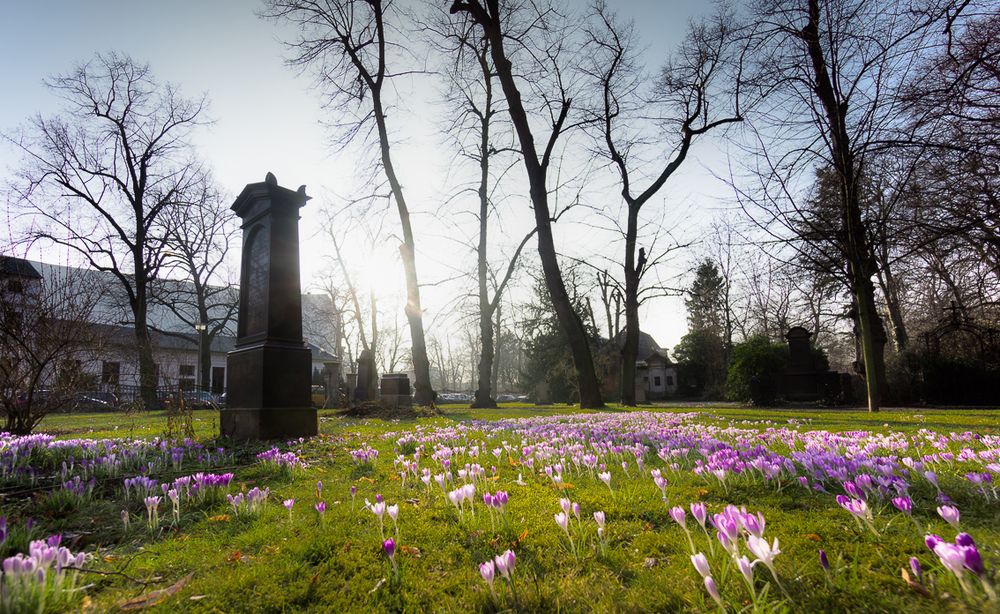 Alter Friedhof an der Kreuzstraße, Pankow