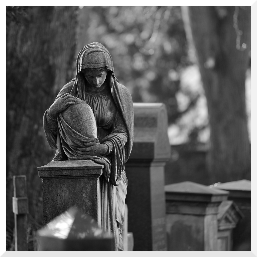 Alter Friedhof, Bonn (2)