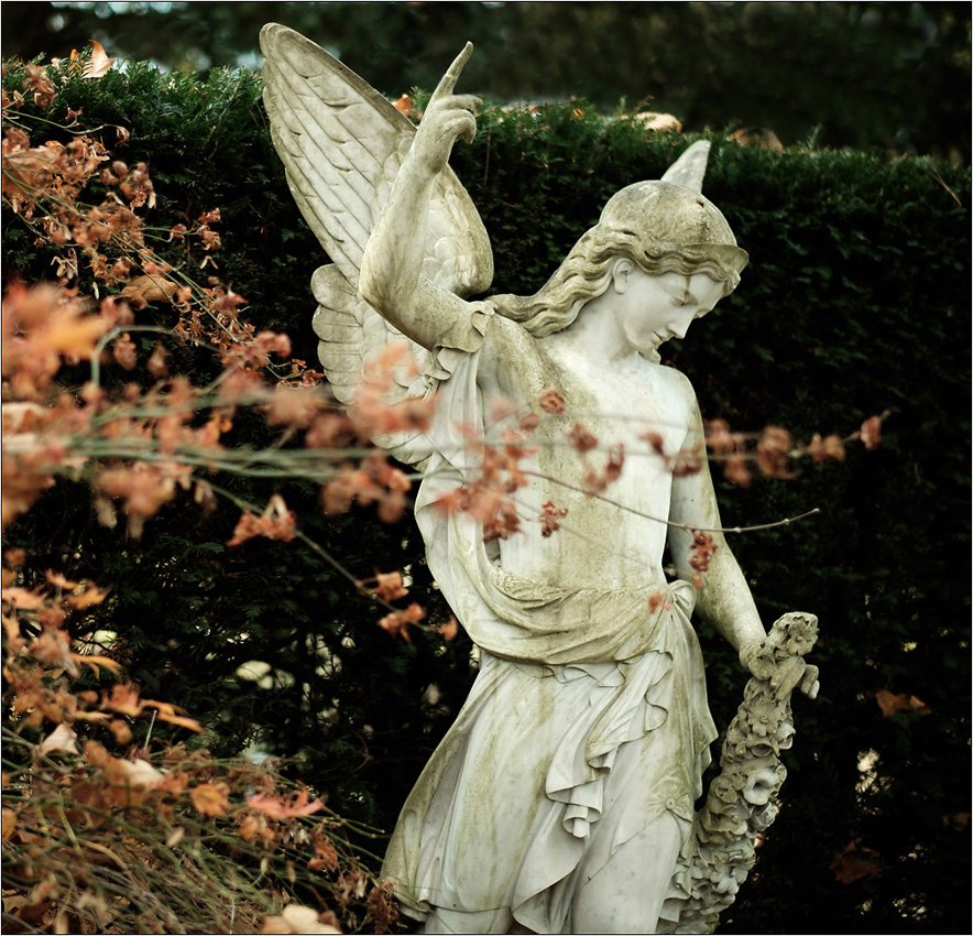 Alter Friedhof Bonn