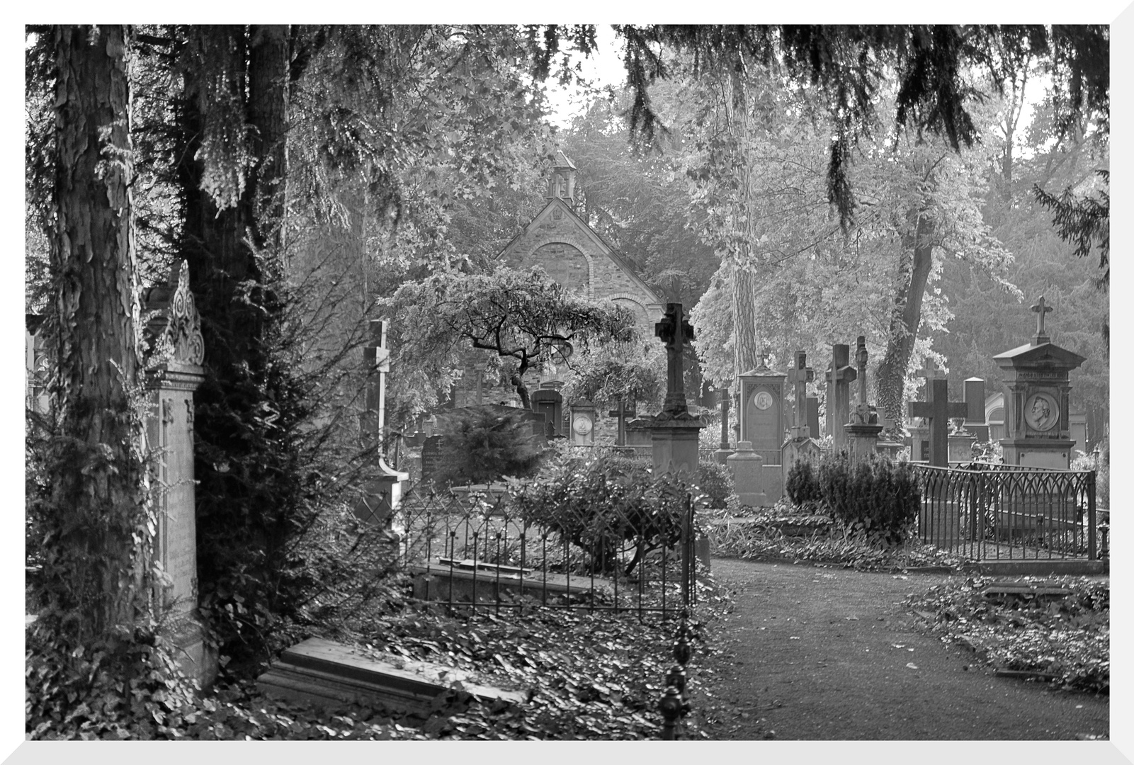 Alter Friedhof, Bonn (3)