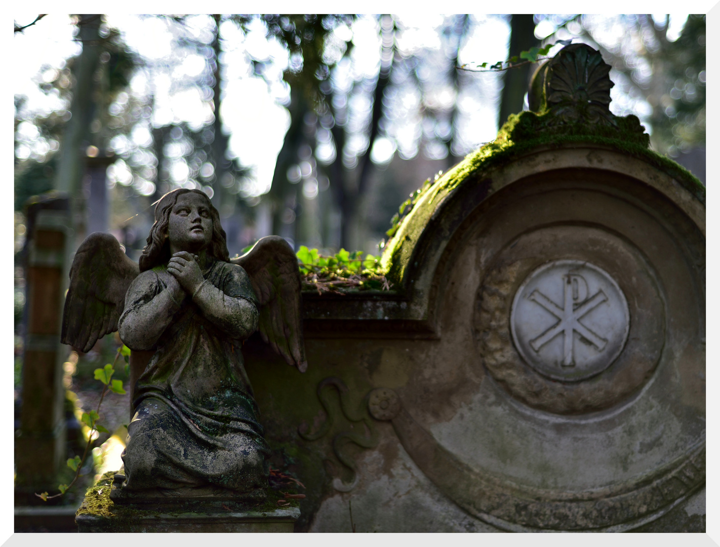 Alter Friedhof, Bonn