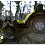 Alter Friedhof, Bonn