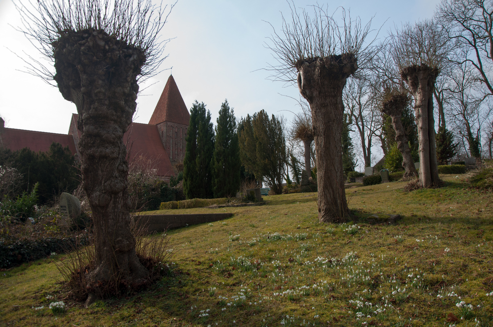 alter Friedhof