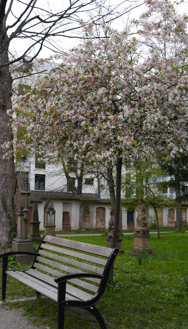 alter Friedhof