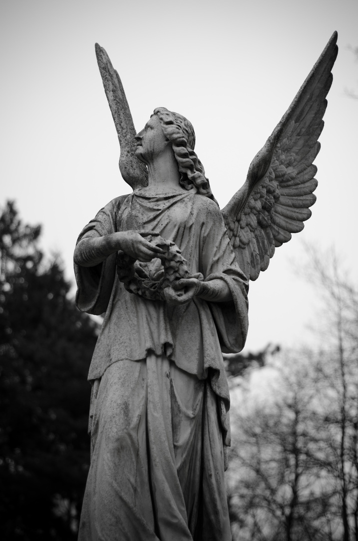 Alter Friedhof Freiburg.