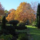 Alter Friedhof im Herbst