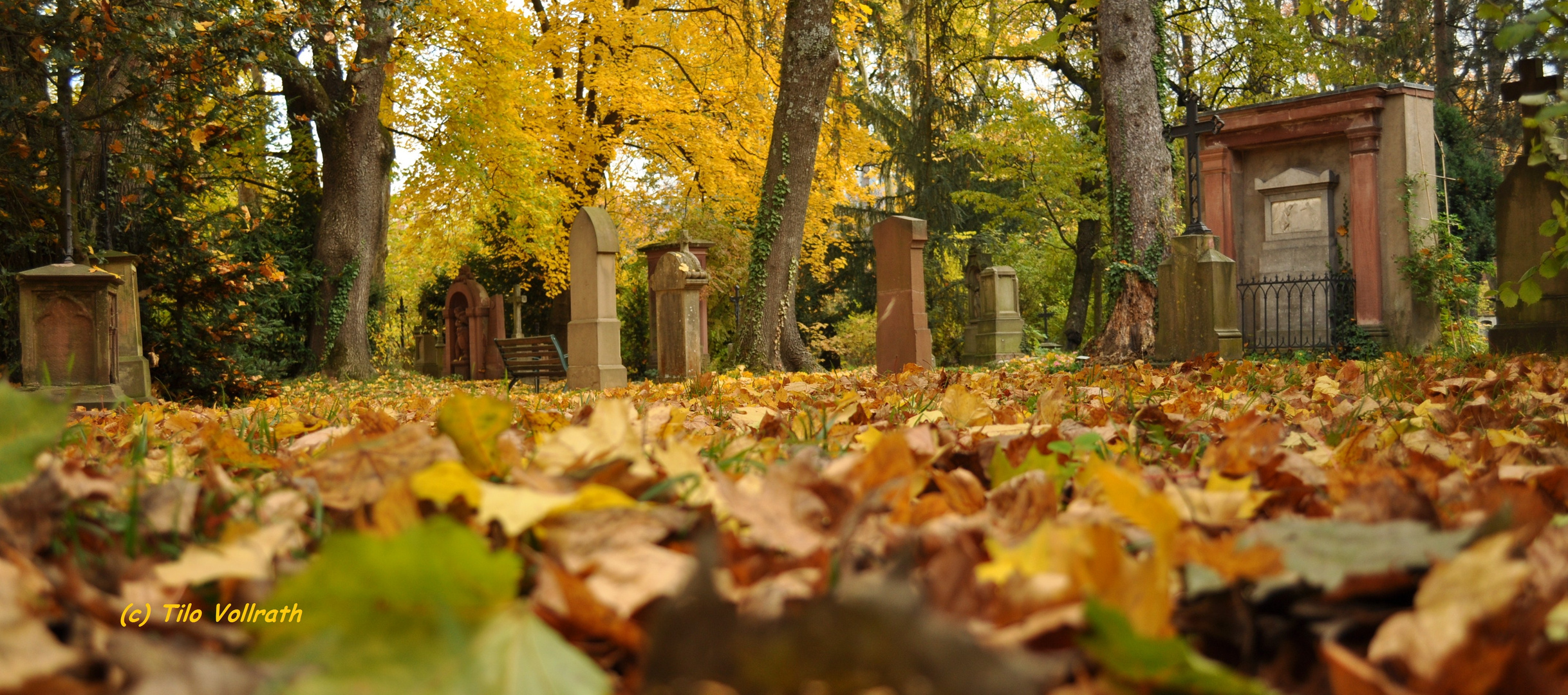 Alter Friedhof im Herbst