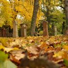 Alter Friedhof im Herbst