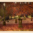 ~~Alter Friedhof im Herbst~~