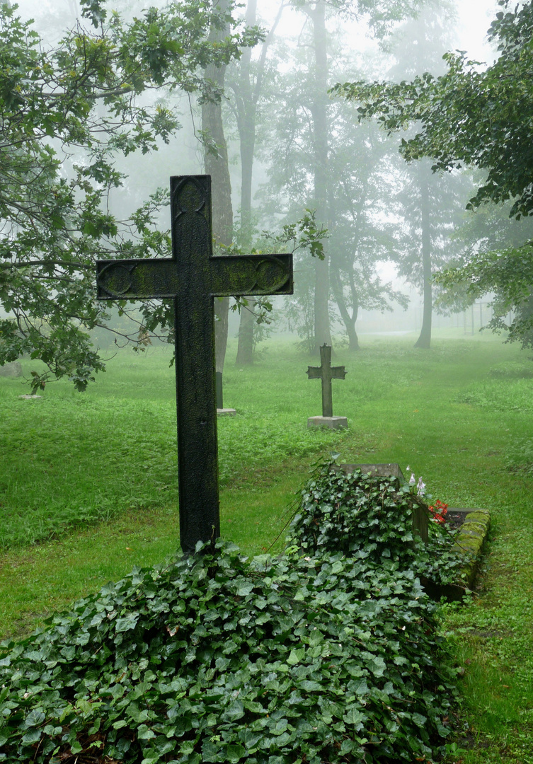 ALTER FRIEDHOF IM NEBEL