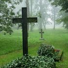 ALTER FRIEDHOF IM NEBEL