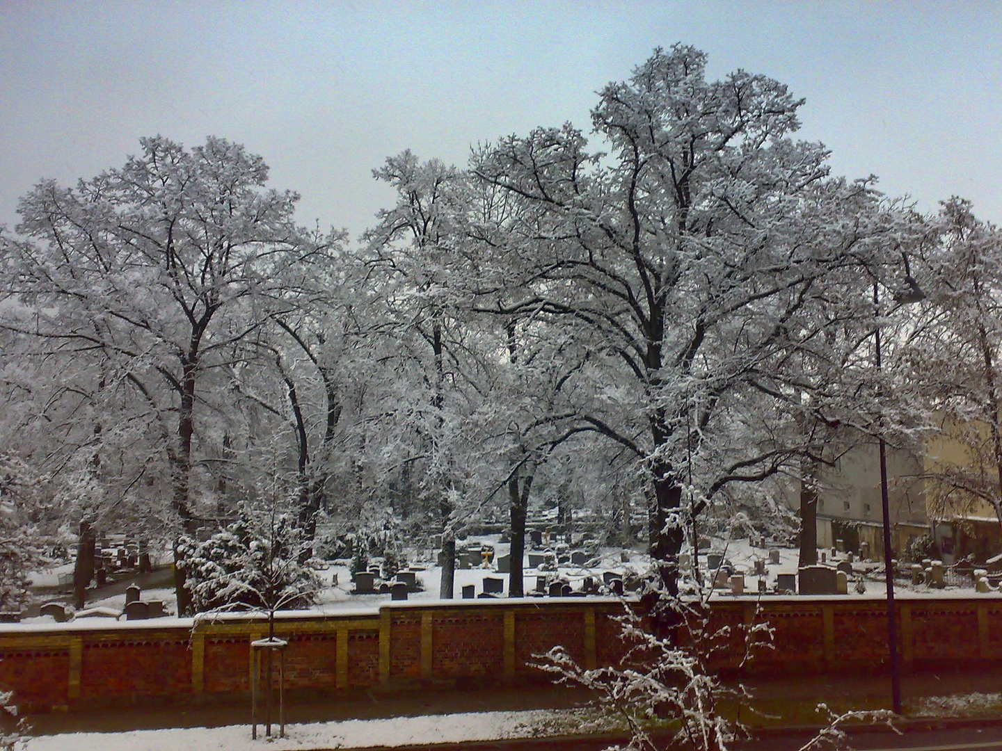 Alter Friedhof im Winter