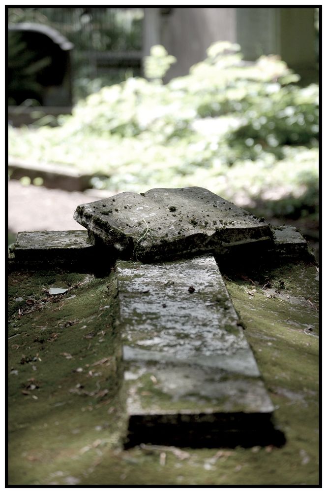 Alter Friedhof in Bonn