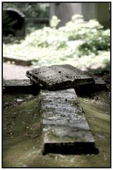 Alter Friedhof in Bonn