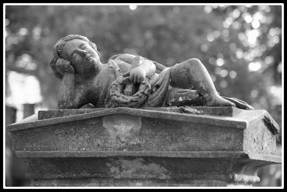 Alter Friedhof in Bonn