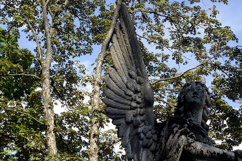 alter friedhof in freiburg