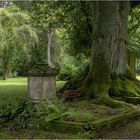 ~~Alter Friedhof in Gießen~~