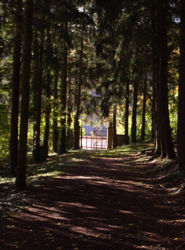 alter Friedhof in Herrstein/Hunsrück oder letzte Aussicht