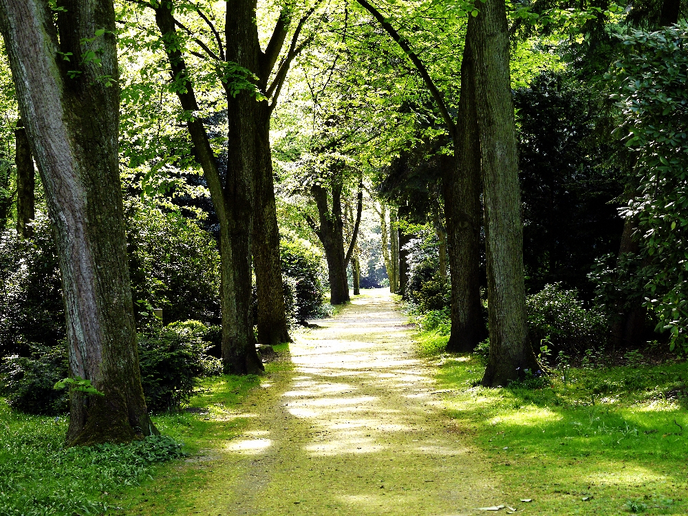 ALTER FRIEDHOF IN HERTEN