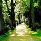 ALTER FRIEDHOF IN HERTEN