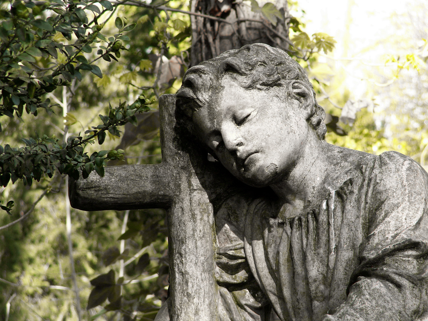 Alter Friedhof in Neuwied