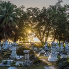 Alter Friedhof in Praslin