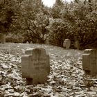 Alter Friedhof in Wuppertal