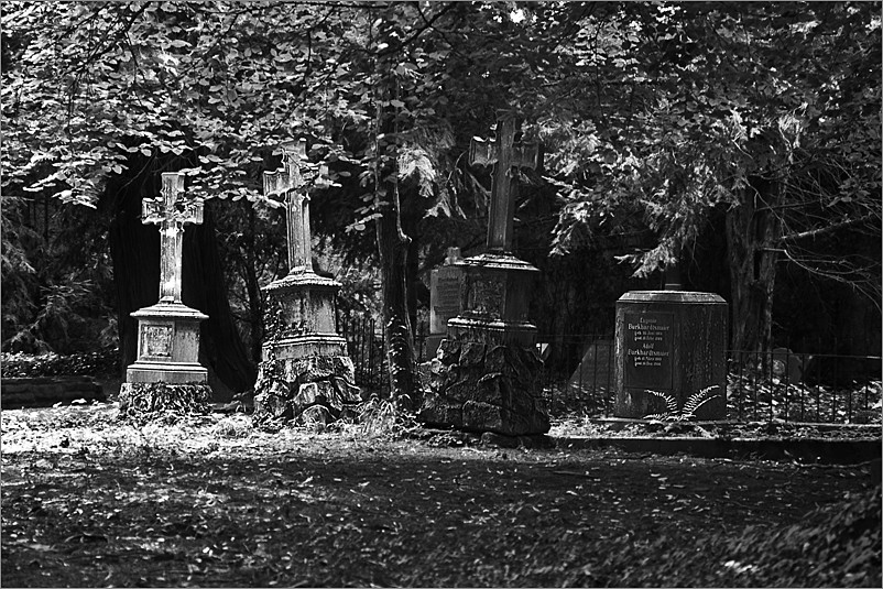 alter Friedhof Ludwigsburg IV