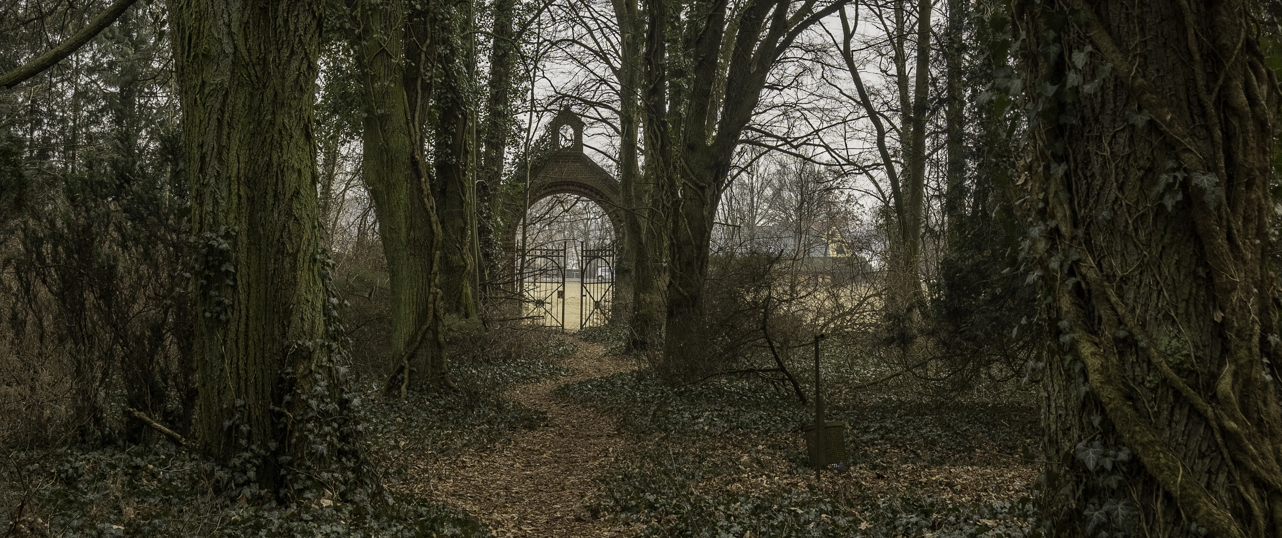Alter Friedhof Neuruppin Foto Bild Natur Landschaft Garten