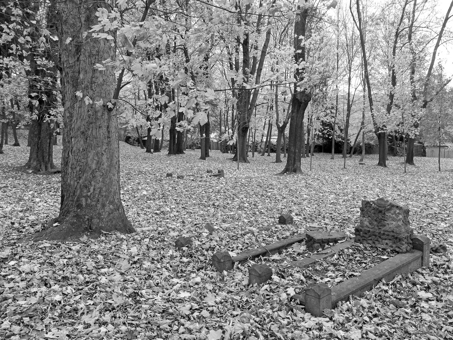 Alter Friedhof Reusa (Plauen)
