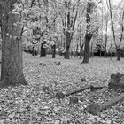 Alter Friedhof Reusa (Plauen)